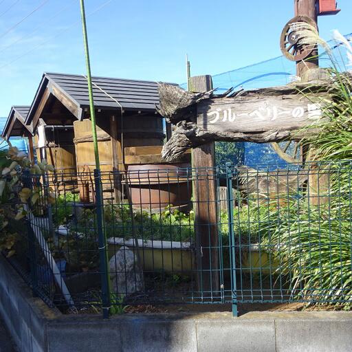ブルーベリーの里 すぐ近くの農園