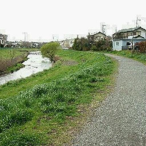 黒目川遊歩道 すぐ近くにある黒目川遊歩道は散歩にも最適