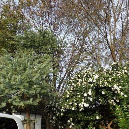 季節の花が咲く敷地 ゆったりとした敷地では季節が感じられます