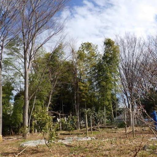 敷地内の緑 自然豊かな敷地