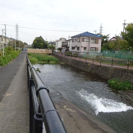 黒目川 遊歩道のあるきれいな川