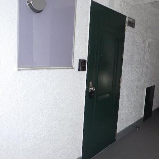 お部屋の入口 塗装済みできれいな入口