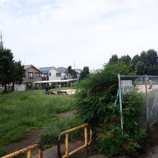三角公園 目の前にある広い公園。のんびり散歩やちょっと体を動かすのにも