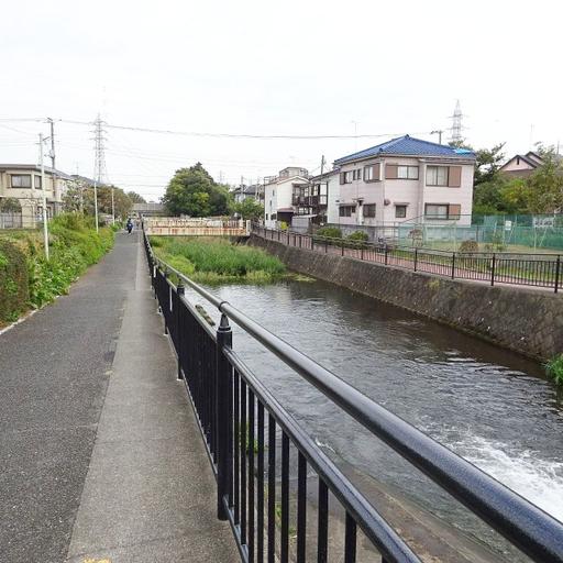 黒目川 遊歩道の整備された黒目川