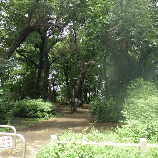 新座緑地公園 緑の多い公園がすぐ近く