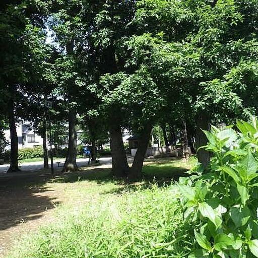 栗原公園 自然あふれるすぐ近くの公園