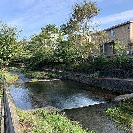 黒目川 遊歩道のある美しい流域