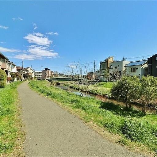 黒目川遊歩道 南側に広がる遊歩道