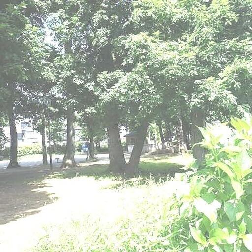 栗原公園 緑あふれる広い公園