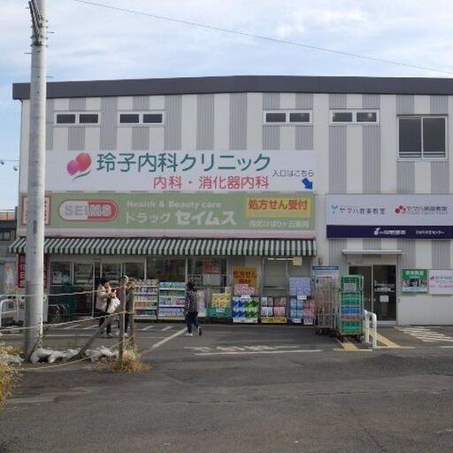 ドラッグストア セイムズ 歩いて2、3分のところにあるドラッグストア