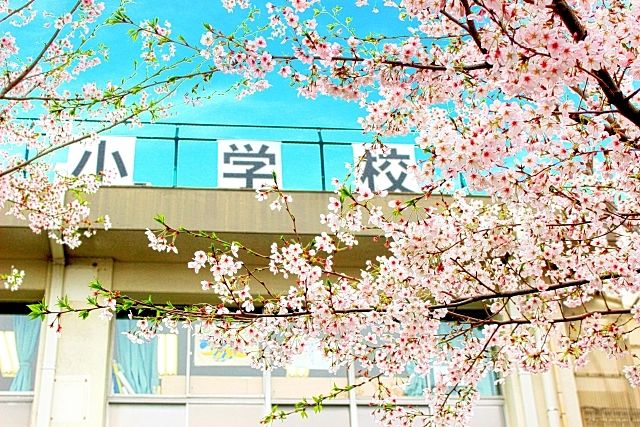 春の桜と小学校