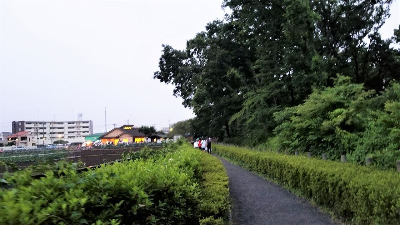平林寺脇の野火止用水遊歩道