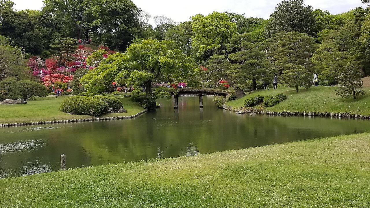 池のある庭園風景