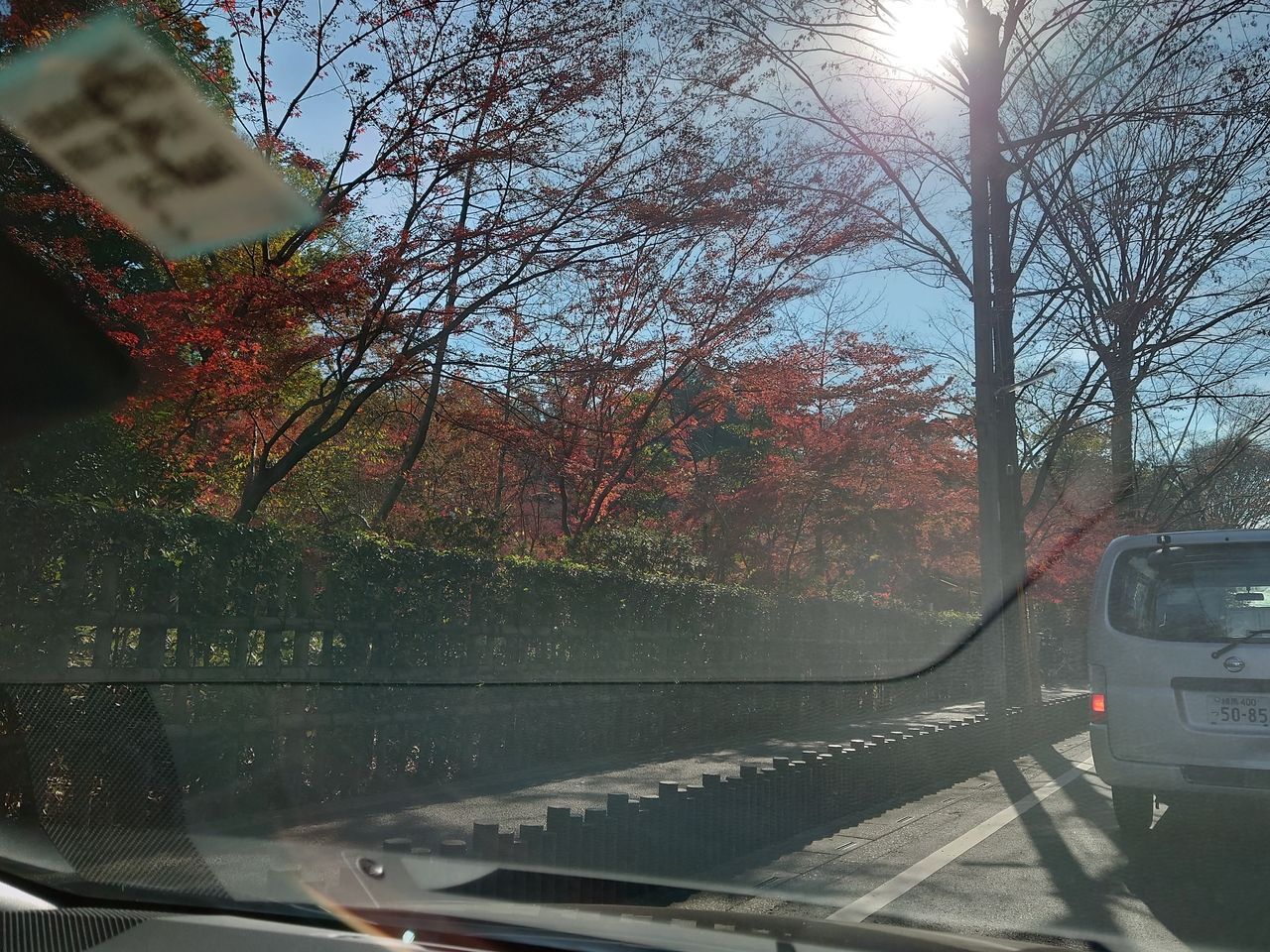 平林寺前の道路から見える紅葉