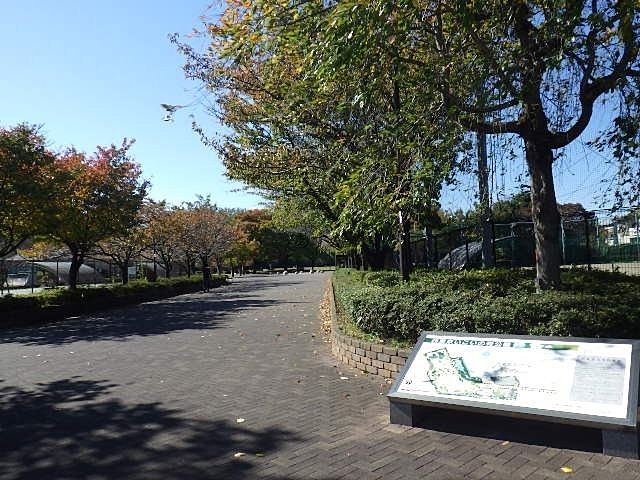 西東京市最大のいこいの森公園。今年は久しぶりに色々な施設が解放されています