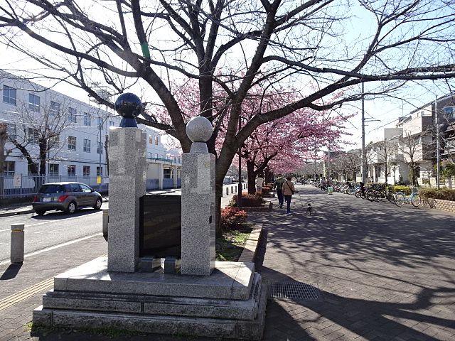春の桜の咲く公園入口
