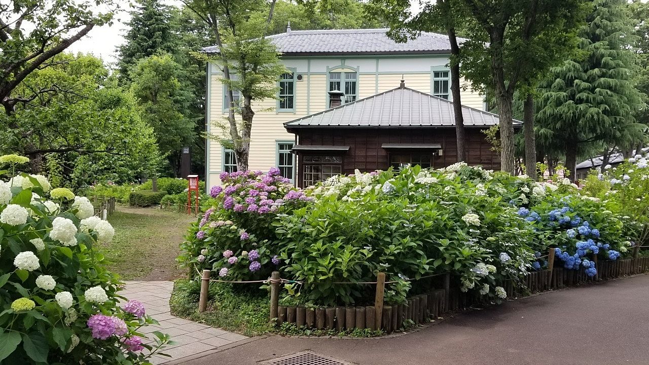 梅雨の時期。紫陽花の名所府中郷土の森博物館
